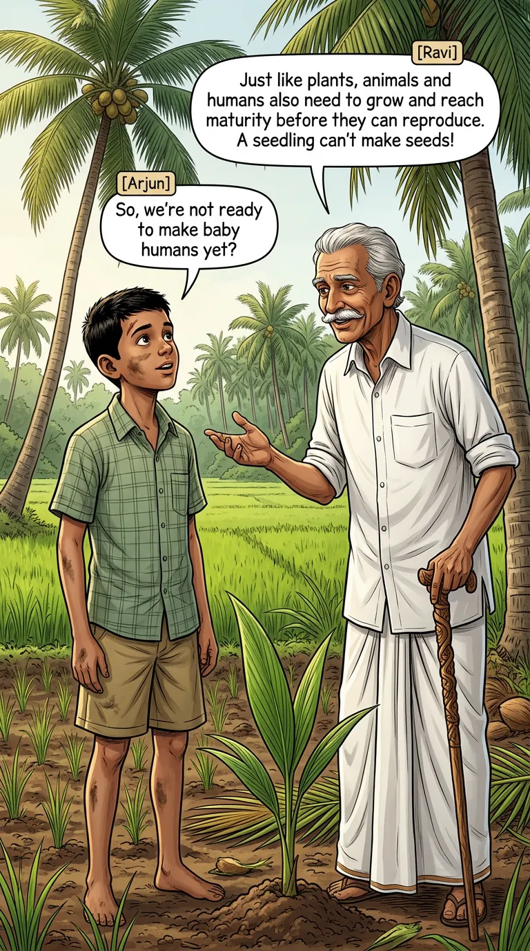 Adolescence: A Stage of Growth and Change - page 7 of 19